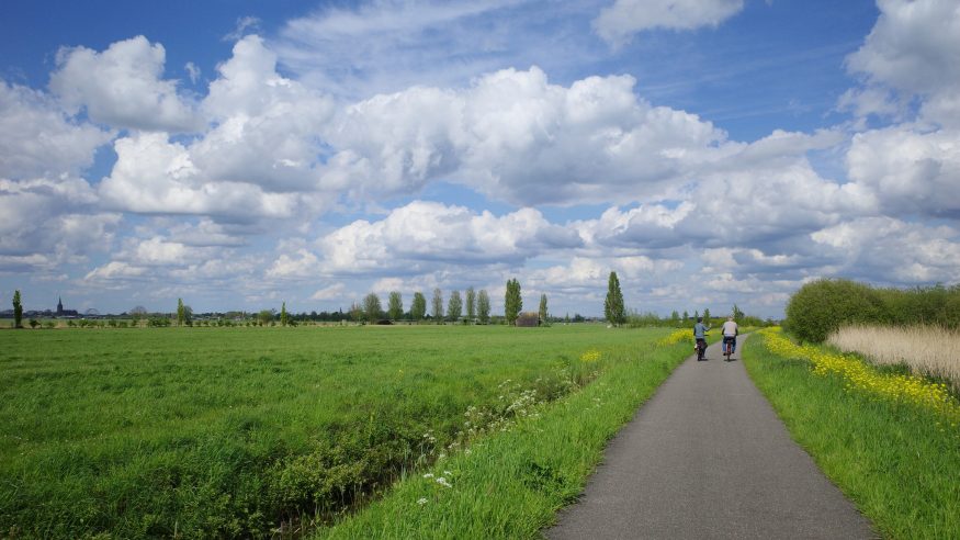 Tetwijkseweg, Schalkwijk